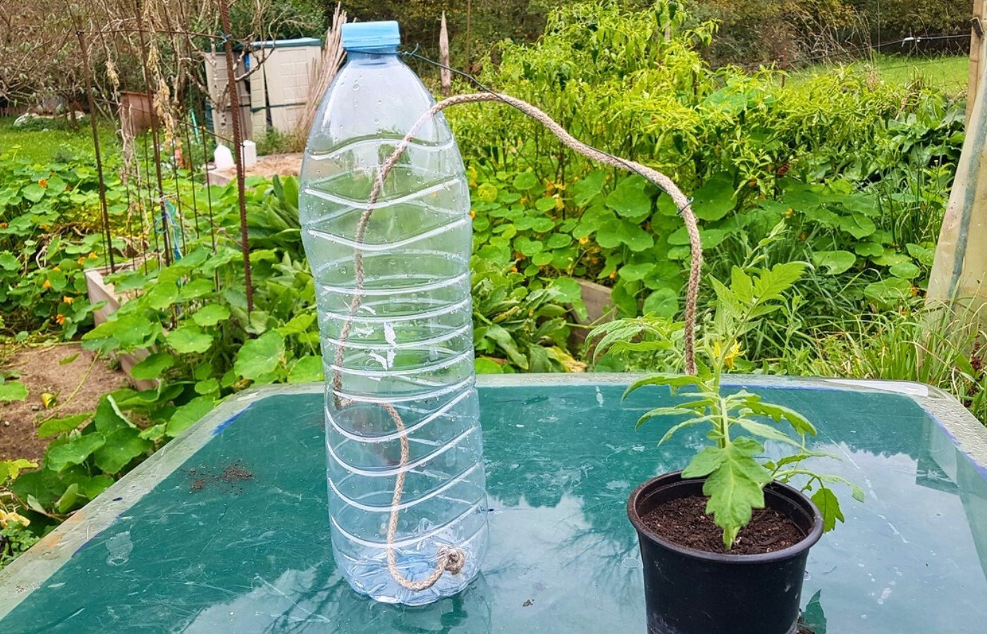 Oui, il existe une méthode facile pour arroser vos plantes pendant vos vacances (sans demander à votre voisin)