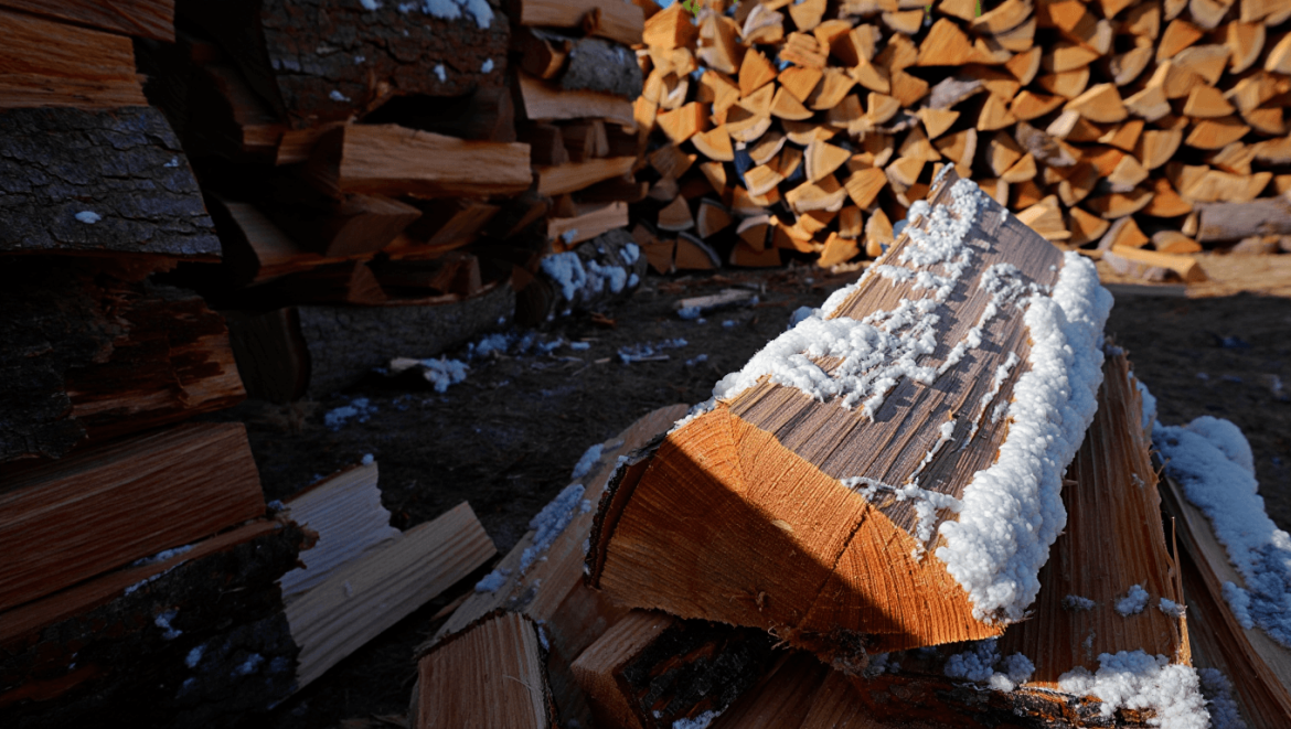 Mérule et bois de chauffage : évitez l’invasion chez vous