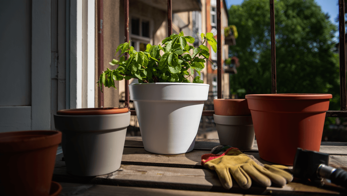 J’ai repeint mes pots en blanc pour agrandir la terrasse : un paysagiste m’a montré pourquoi c’est l’inverse