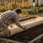 Végétaliser un rooftop urbain : transformer les toits en oasis de verdure