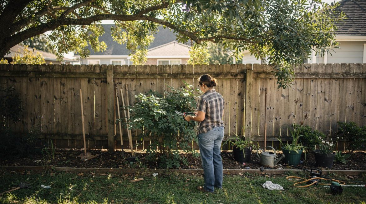 Arbre du voisin qui dépasse : que faire et quels sont vos droits ?